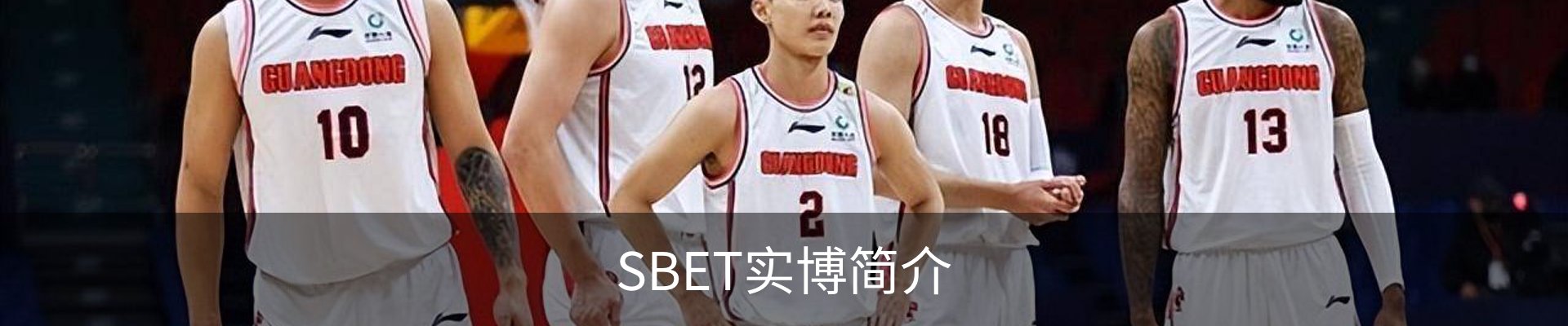 SBET实博简介